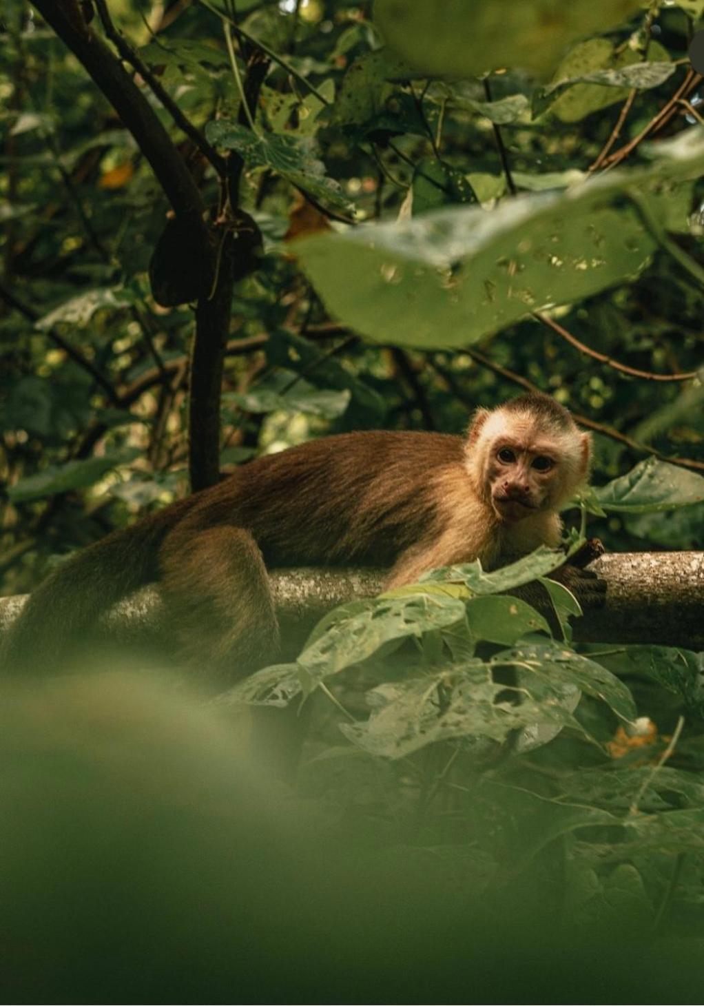 Arrecifes Refugio Natural Santa Marta  Ngoại thất bức ảnh