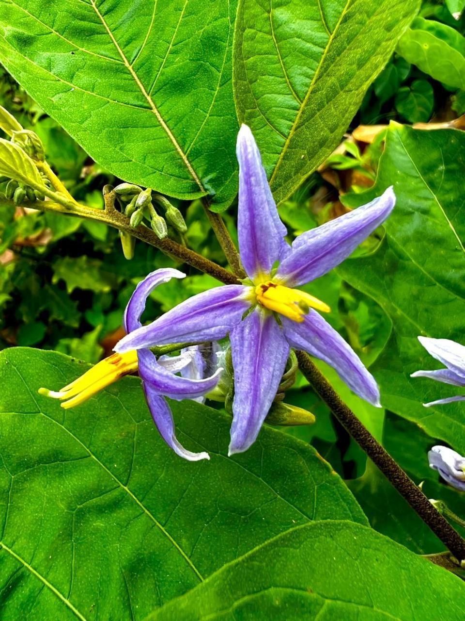 Arrecifes Refugio Natural Santa Marta  Ngoại thất bức ảnh
