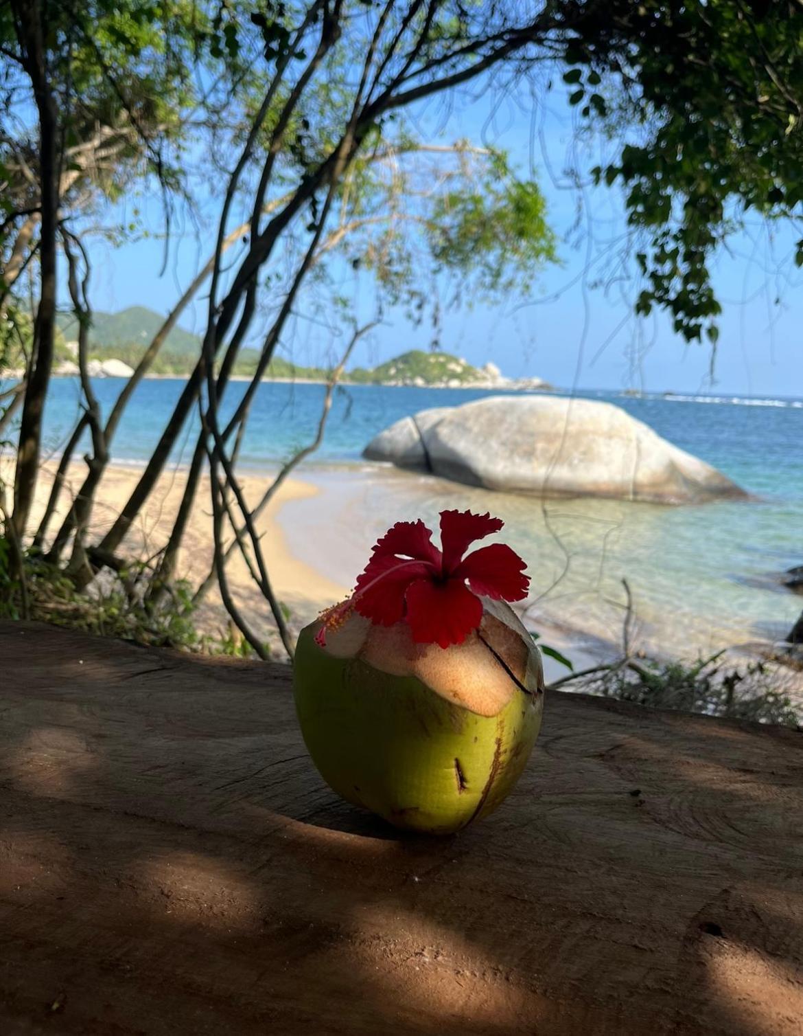 Arrecifes Refugio Natural Santa Marta  Ngoại thất bức ảnh